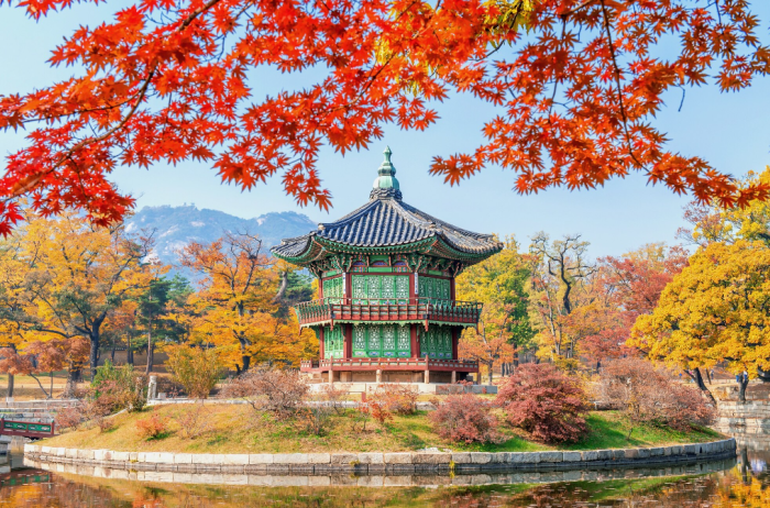 Оформление визы в Южную Корею: помощь в подготовке документов, актуальные требования, сопровождение | Travel Shop СлетатьАгент Ваш идеальный спутник в любом путешествии!