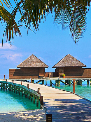 Авторские экспедиции по России 2026 — туда, куда не ходят многие туристы. Шантары, Курилы, Путорана, Ямал, Камчатка. Встретить китов, уснуть в глэмпинге над облаками, увидеть северное сияние из купола. VIP-приключения: экстрим + люкс | НС Тревелшоп Ваш идеальный спутник в любом путешествии!