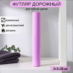 Футляр для зубной щётки и пасты Доляна, 20 см, МИКС